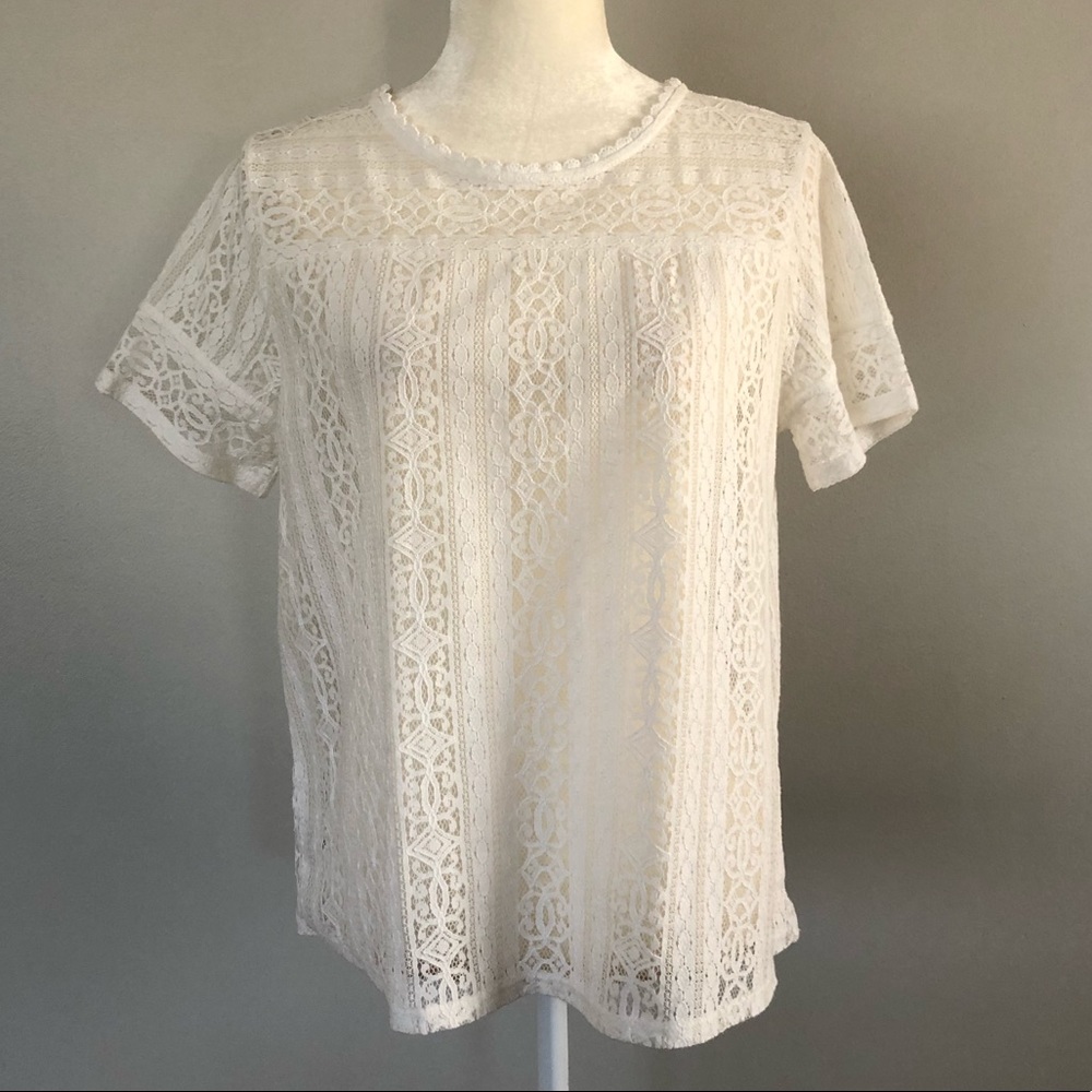 SOLD - Loft Lace Popover Short Sleeve Top - M
